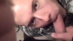 Suck and cum in mouth