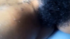 Negra Peluda