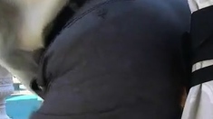 Dress Clothes Dildo Ride using my man cunt