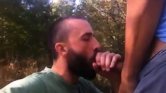 Outdoor Fucking Sucking Cum