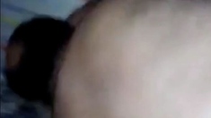 Bear Daddy's Cock Craze