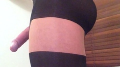 Big Cock Crossdresser in Suspender Hose