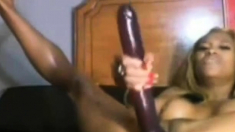 Expert Ebony Squirter